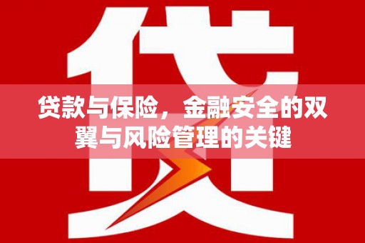 色达贷款与保险，金融安全的双翼与风险管理的关键
