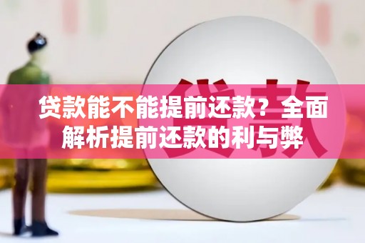 龙沙贷款能不能提前还款？全面解析提前还款的利与弊