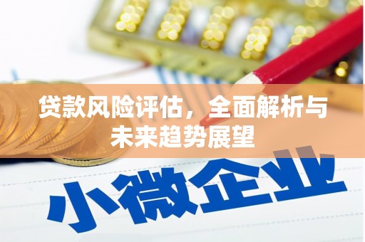 西峡贷款风险评估，全面解析与未来趋势展望