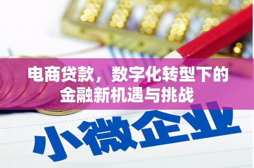 深坑电商贷款，数字化转型下的金融新机遇与挑战