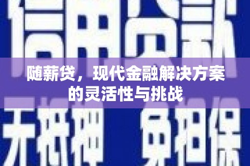 罗山随薪贷，现代金融解决方案的灵活性与挑战