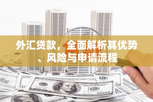 中方外汇贷款，全面解析其优势、风险与申请流程