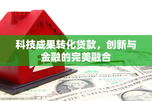 迪庆科技成果转化贷款，创新与金融的完美融合