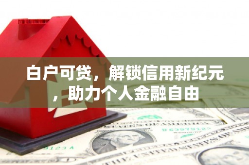 嵊州白户可贷，解锁信用新纪元，助力个人金融自由