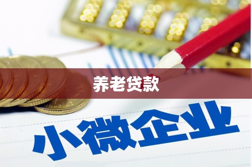 湖北养老贷款