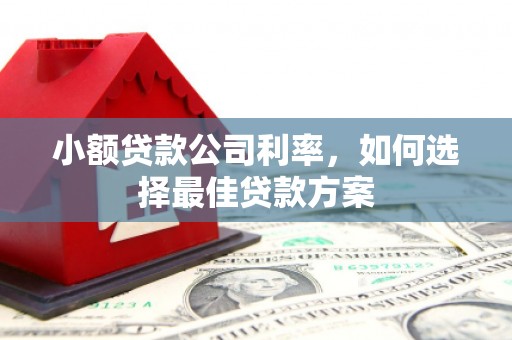 长洲小额贷款公司利率，如何选择最佳贷款方案