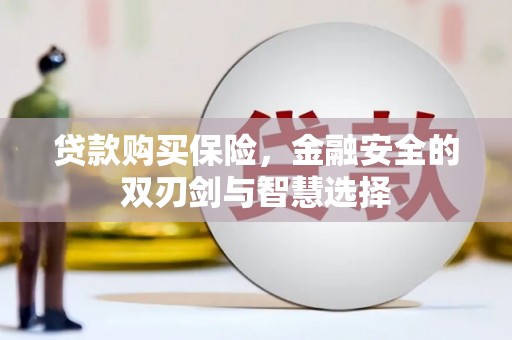 葵青贷款购买保险，金融安全的双刃剑与智慧选择
