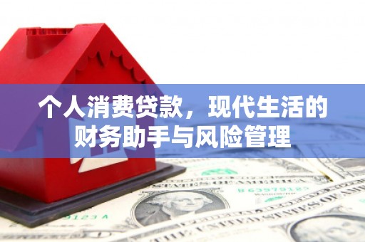 海盐个人消费贷款，现代生活的财务助手与风险管理