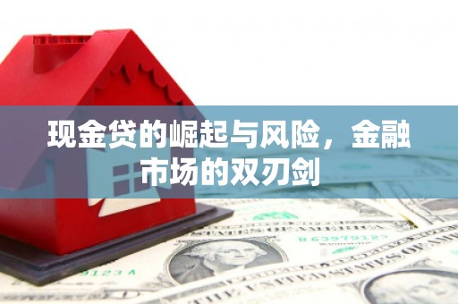 梅山现金贷的崛起与风险，金融市场的双刃剑