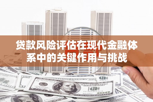 海南贷款风险评估在现代金融体系中的关键作用与挑战