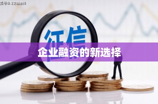 埔心企业融资的新选择