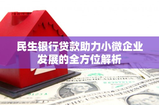 洪梅民生银行贷款助力小微企业发展的全方位解析