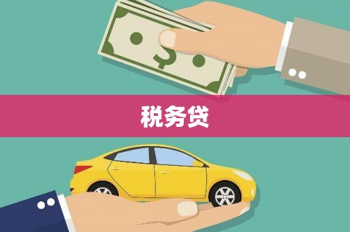 汉阳税务贷