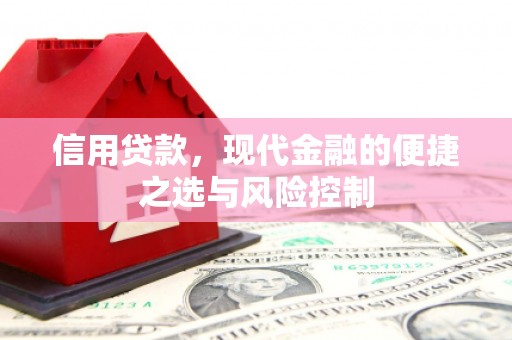 龙口信用贷款，现代金融的便捷之选与风险控制