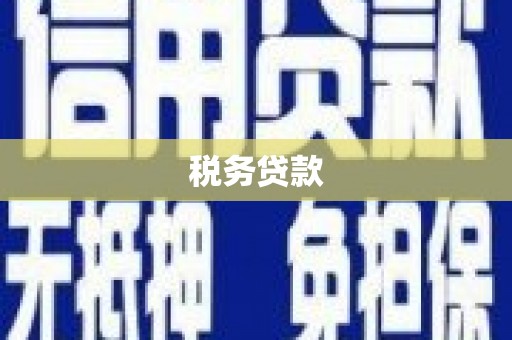 大甲税务贷款