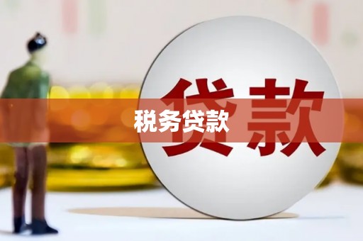 芬园税务贷款