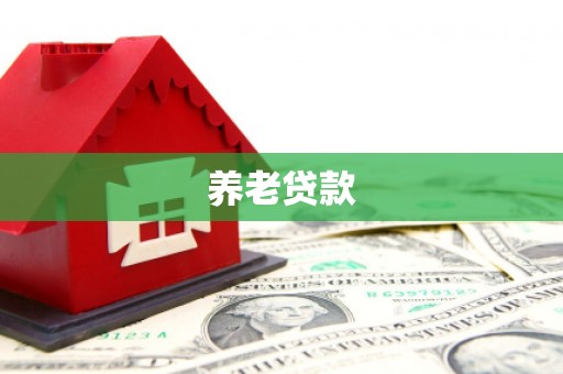 灌云养老贷款