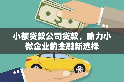 高平小额贷款公司贷款，助力小微企业的金融新选择