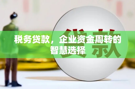 宣城税务贷款，企业资金周转的智慧选择