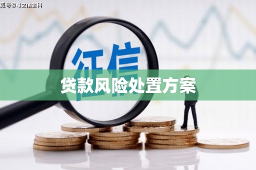 和县贷款风险处置方案
