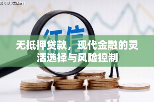 福州无抵押贷款，现代金融的灵活选择与风险控制