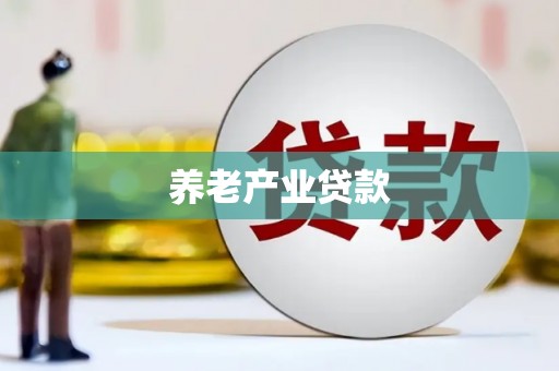 盈江养老产业贷款