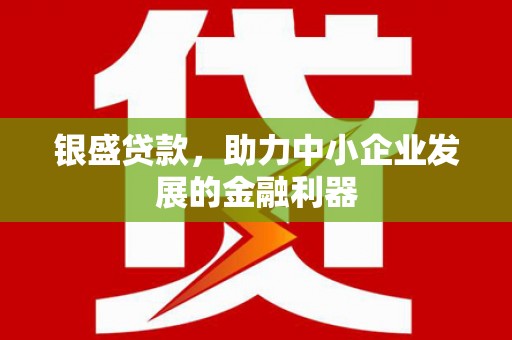 大丰银盛贷款，助力中小企业发展的金融利器