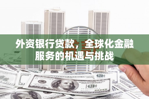 皋兰外资银行贷款，全球化金融服务的机遇与挑战