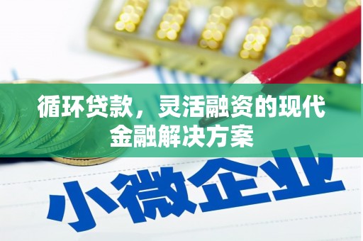 玉州循环贷款，灵活融资的现代金融解决方案