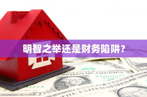 绥芬河明智之举还是财务陷阱？