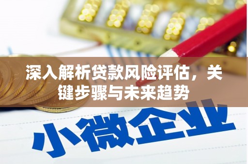 沿河深入解析贷款风险评估，关键步骤与未来趋势