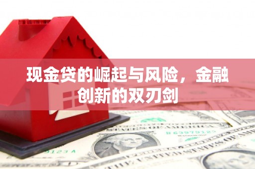中山现金贷的崛起与风险，金融创新的双刃剑