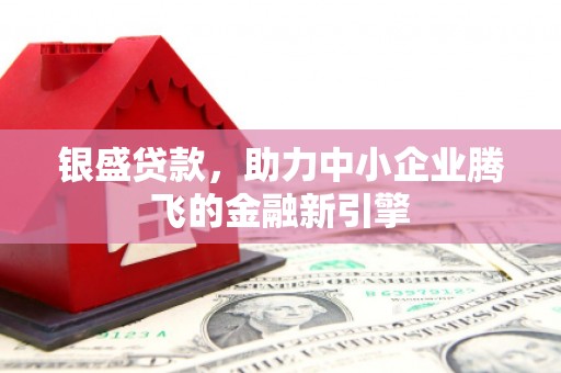 宁县银盛贷款，助力中小企业腾飞的金融新引擎