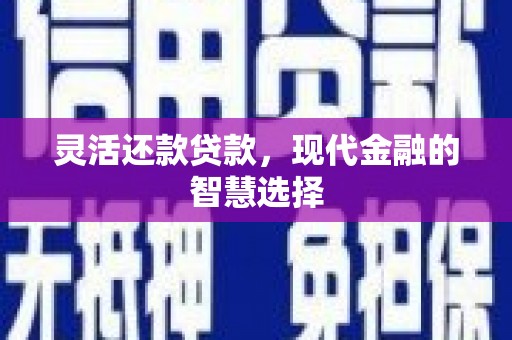 循化灵活还款贷款，现代金融的智慧选择
