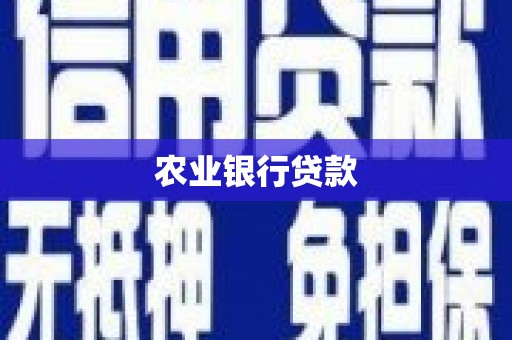 嘉模堂区农业银行贷款