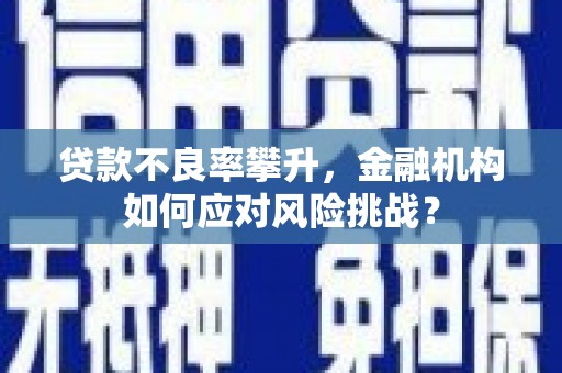 务川贷款不良率攀升，金融机构如何应对风险挑战？