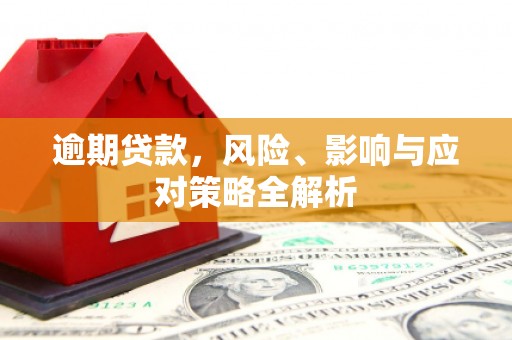 枋寮逾期贷款，风险、影响与应对策略全解析