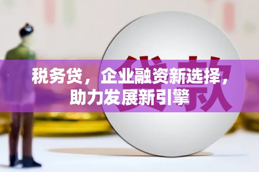 亭湖税务贷，企业融资新选择，助力发展新引擎