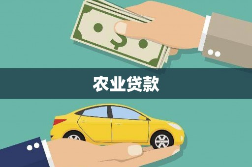 金口河农业贷款