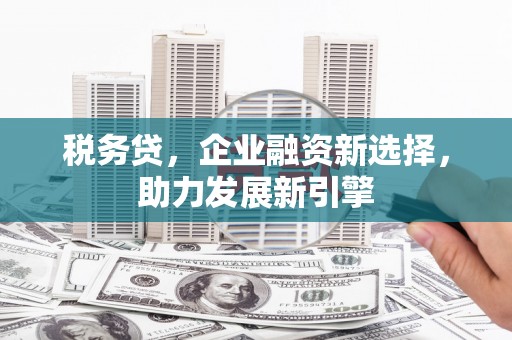 肇庆税务贷，企业融资新选择，助力发展新引擎