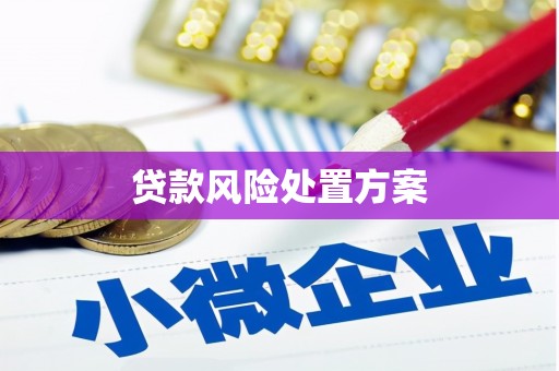 济源贷款风险处置方案