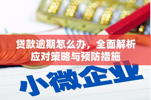 西区贷款逾期怎么办，全面解析应对策略与预防措施