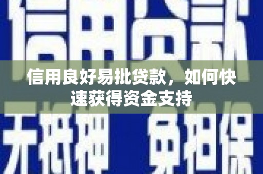 卑南信用良好易批贷款，如何快速获得资金支持