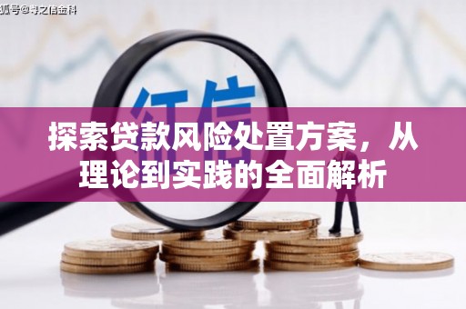 船营探索贷款风险处置方案，从理论到实践的全面解析