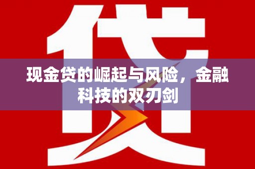 万源现金贷的崛起与风险，金融科技的双刃剑