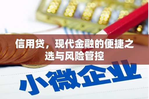 寻甸信用贷，现代金融的便捷之选与风险管控