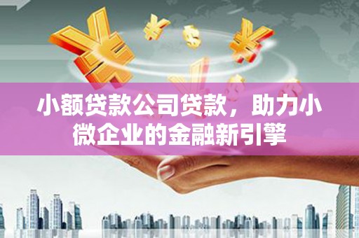 宝应县小额贷款公司贷款，助力小微企业的金融新引擎