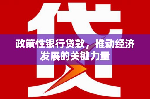 阿巴嘎旗政策性银行贷款，推动经济发展的关键力量