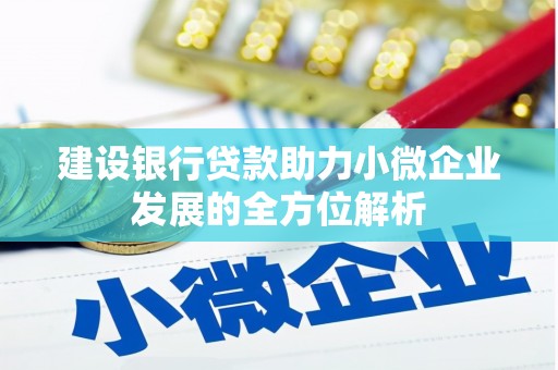 理县建设银行贷款助力小微企业发展的全方位解析