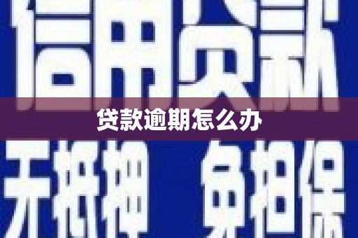 尉氏贷款逾期怎么办